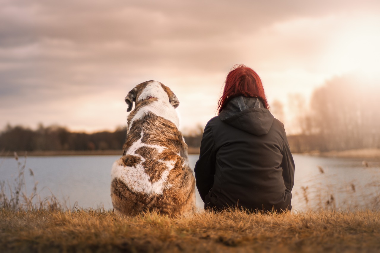 How to Help Your Pet Cope with Grief and Loss